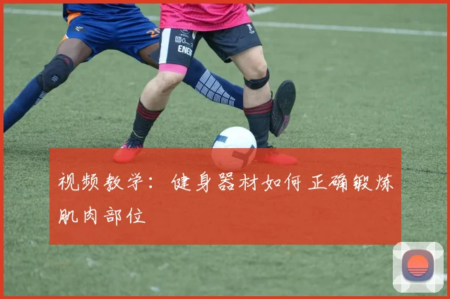 视频教学:健身器材如何正确锻炼肌肉部位