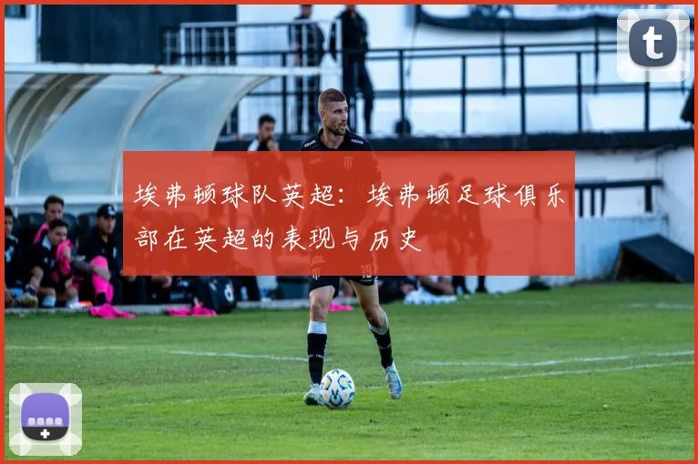 埃弗顿球队英超：埃弗顿足球俱乐部在英超的表现与历史